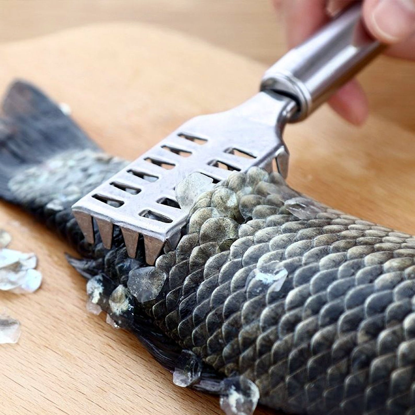 Stainless Steel Fish Scale Remover Scraper â€“ Sawtooth Kitchen Tool