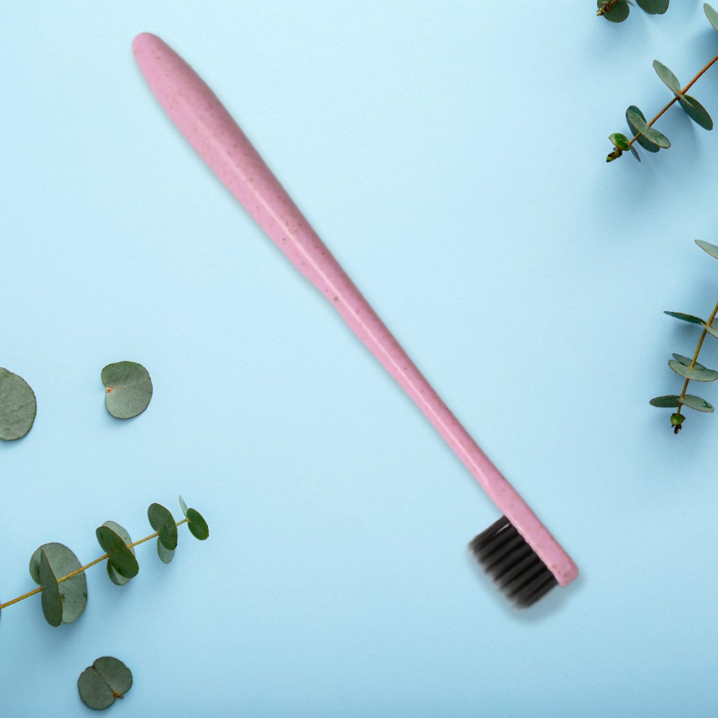 Soft Toothbrush With Toothbrush Cover Cleaner Scraper for Men and Women, Kids, AdultsÂ Plastic Toothbrush Cover / Case / Holder (1 Pc / Mix Color)