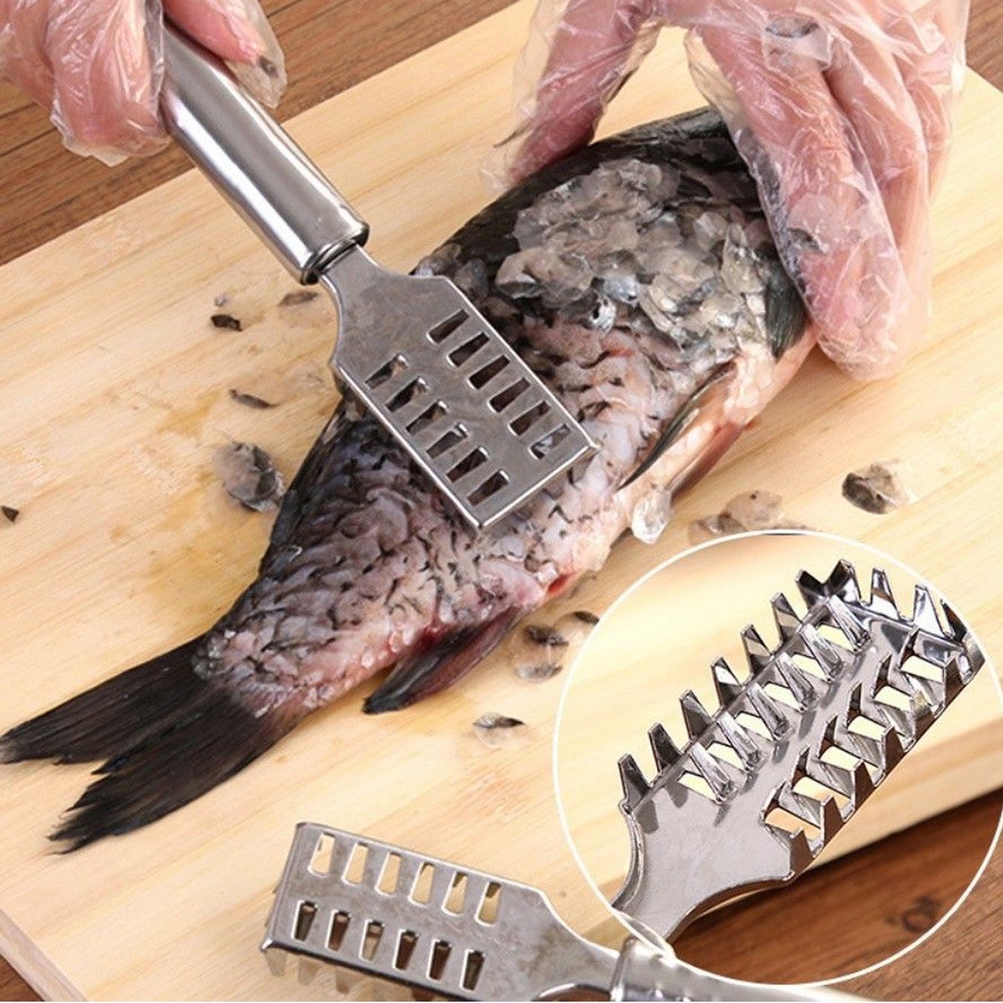 Stainless Steel Fish Scale Remover Scraper â€“ Sawtooth Kitchen Tool
