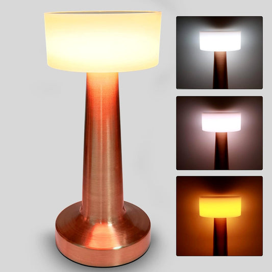LED Lamp with Touch Control | Decorative Desk Lamp, Portable Metal LED Table Lamp, USB Rechargeable, 3 Color, 3 Levels Brightness, Dimmable Eye Protection Modern Lamp for Home Decor Party Kids Room Bedroom (1 Pc) Diwali Special